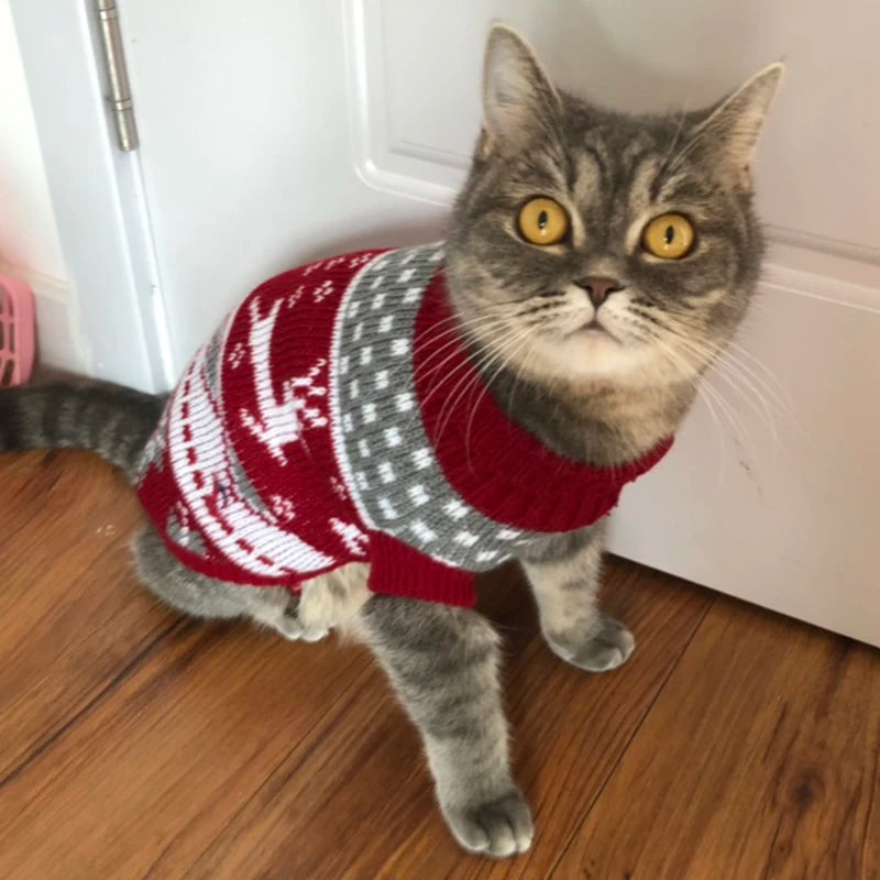 Camisola de inverno para gatos