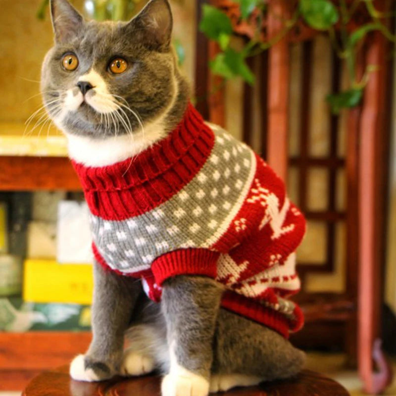 Camisola de inverno para gatos