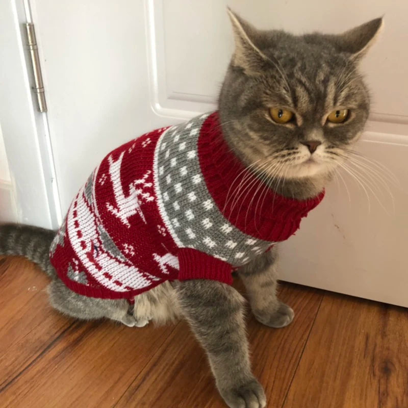 Camisola de inverno para gatos