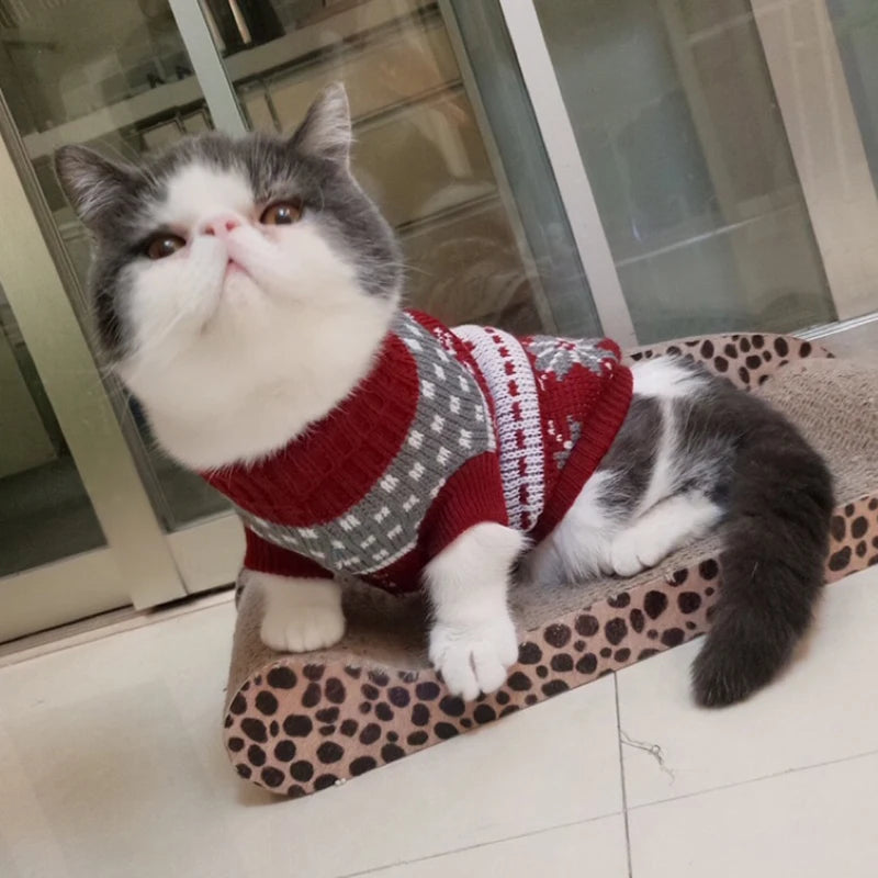 Camisola de inverno para gatos