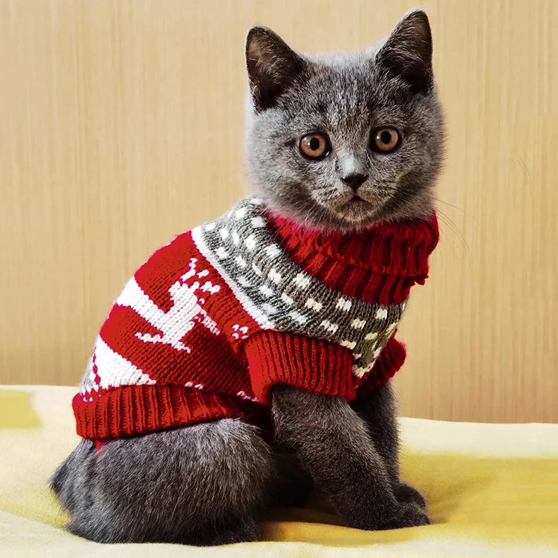 Camisola de inverno para gatos