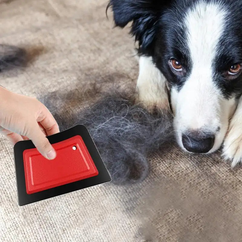 ESPATULA PARA LIMPEZA DE PELOS DE PET