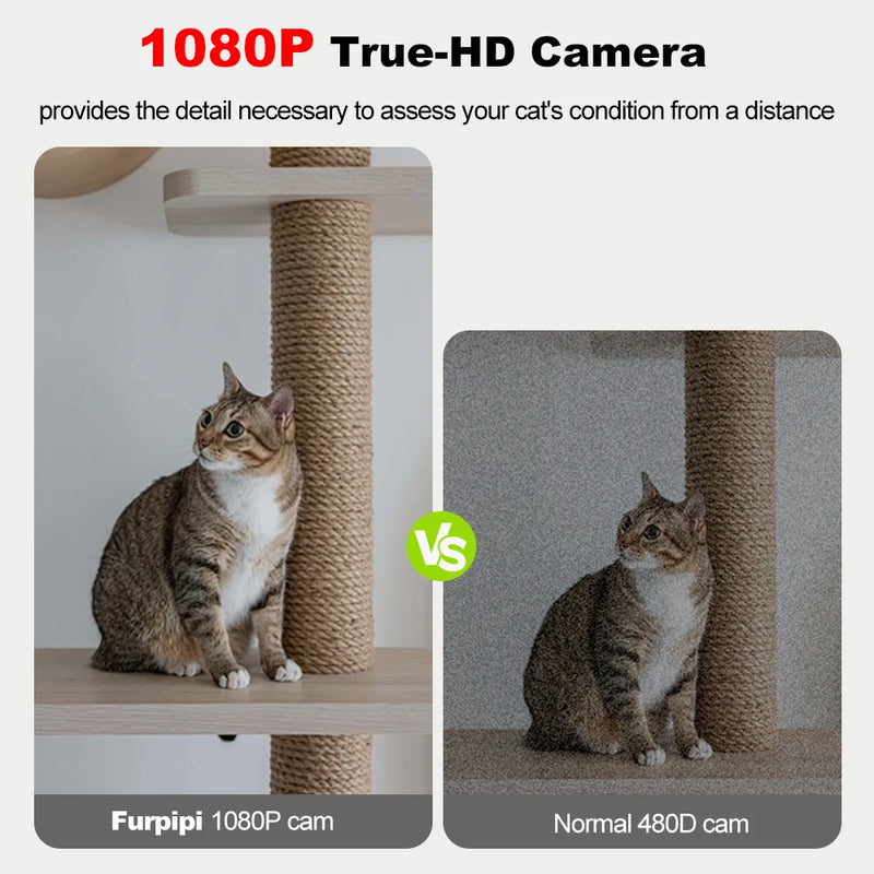 Alimentadores Automáticos Inteligentes para Gatos com Câmera HD 1080P 5G WiFi