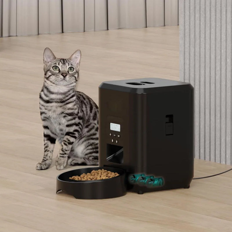 DISPENSADOR DE RAÇÃO PARA GATOS AUTOMATICO