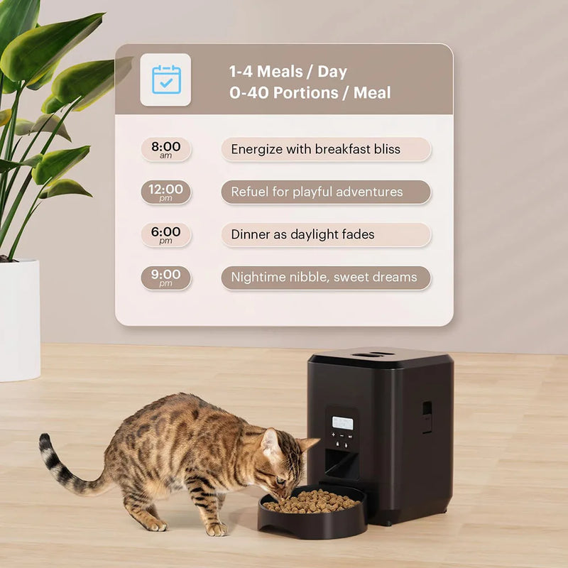 DISPENSADOR DE RAÇÃO PARA GATOS AUTOMATICO